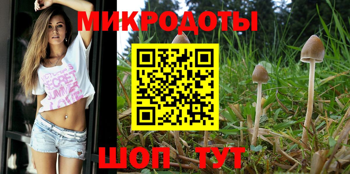 закладки  Вход с VPN  Урус-Мартан  Псилоцибиновые грибы MAGIC MUSHROOMS 