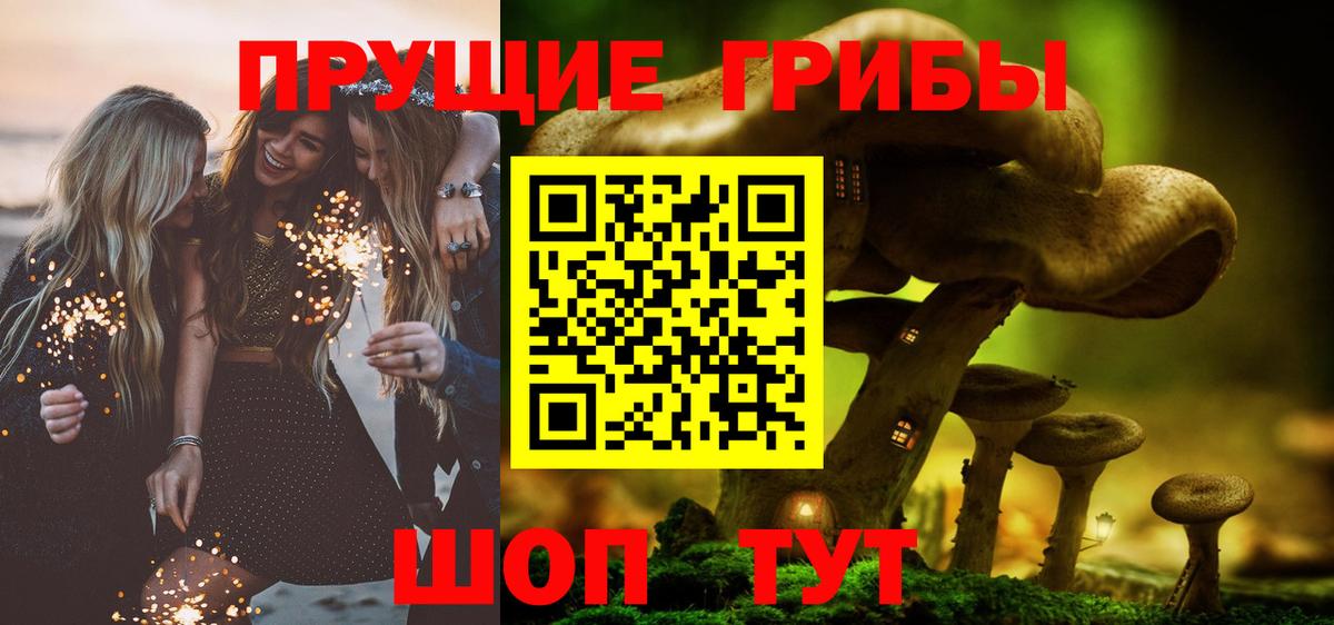 Псилоцибиновые грибы мухоморы Урус-Мартан